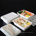 Disposable Biodegradable Eco Sugarcane Bagasse Paper Food Container Tray